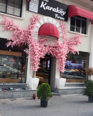 IMG-20190917-WA0025